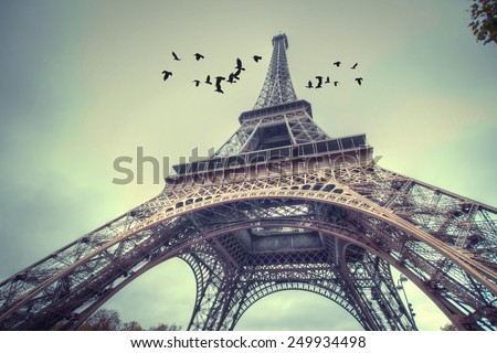 Architecture of Paris .France. Europe Royalty-Free Stock Photo #249934498