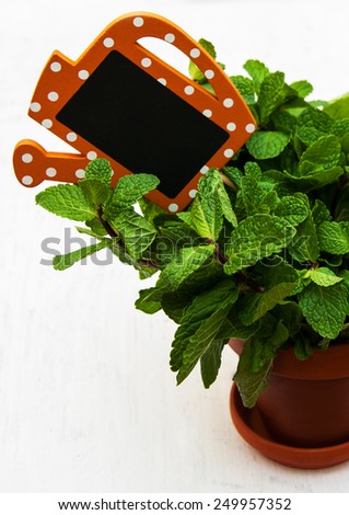 Mint in a clay pot with a empty wooden label on a wooden background