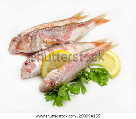Fresh red mullet on white background