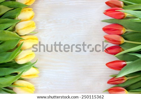 frame of tulips