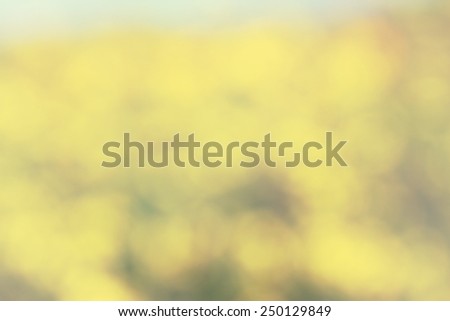 abstract blurred background with floral bokeh view . ready for typography