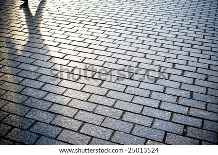 Person casting long shadow on bricks