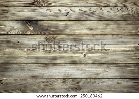 Beautiful woden background, wooden wall close up.
