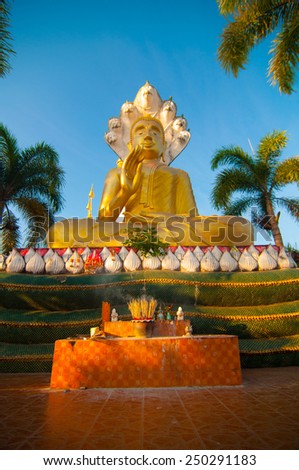 Golden Buddha in wat tumkuasawan