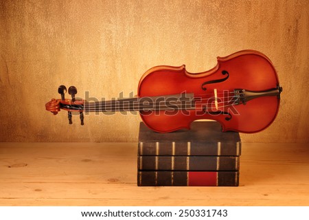 Violin or fiddle on books bunch  still life style
