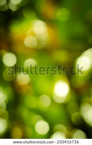 Image of abstract nature blur background