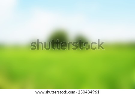 blurry green grass and sky background