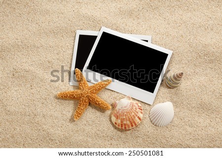 Summer beach concept/Sandy beach with blank pictures
