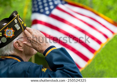 Veteran's Saluting Royalty-Free Stock Photo #250524325