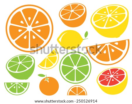 Collection of citrus slices - orange, lemon, lime and grapefruit, icons set, colorful isolated on white background, vector illustration. Royalty-Free Stock Photo #250526914
