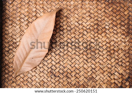 dry leaf on hand work bamboo texture