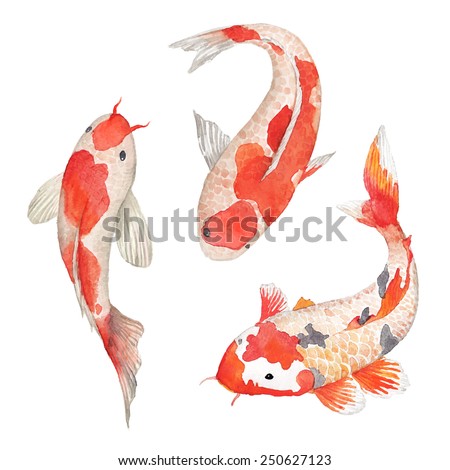 Watercolor oriental rainbow carp set. Isolated hand drawn fishes. Underwater wildlife illustration in vector