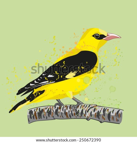 vector drawing Orioles on a pale green background