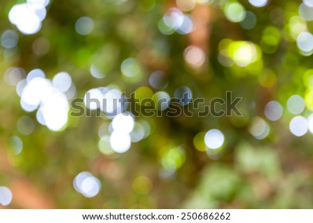 bokeh out of focus background