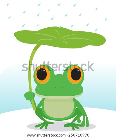 Cute frog in the rain