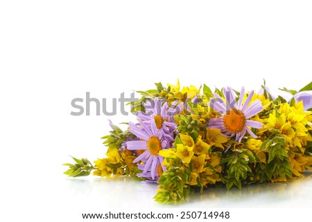 Summer bouquet of daisies and loosestrife on a white background