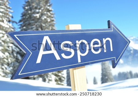 ASPEN arrow in the winter forest