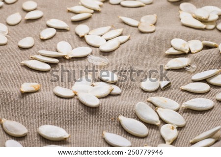 Pumpkin seeds scattered on canvas background