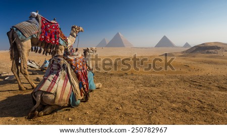 Egypt. Cairo - Giza. General view of pyramids from the Giza Plat Royalty-Free Stock Photo #250782967