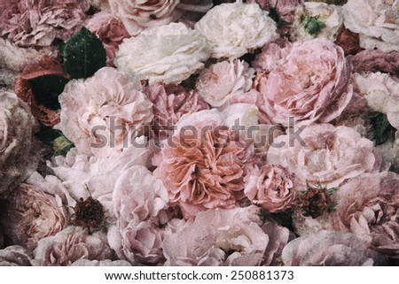Image of nostalgic, vintage roses background.