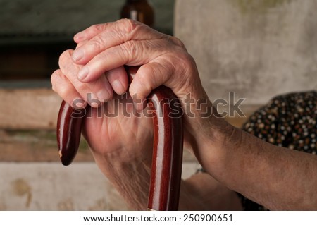 hand of a cane Royalty-Free Stock Photo #250900651
