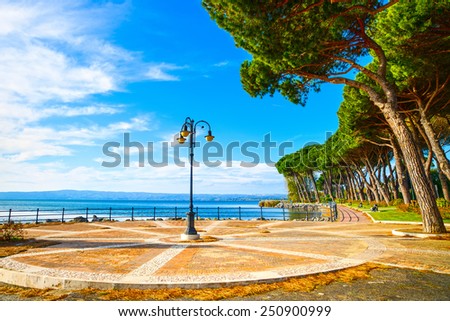 Promenade or esplanade and pine trees in Bolsena lake, Italy.