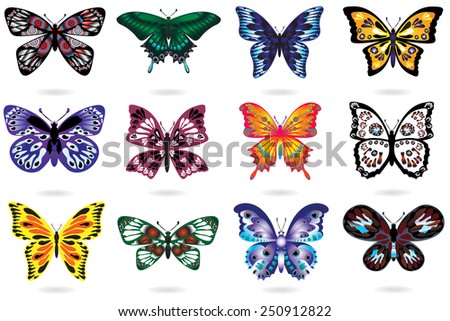 Various exotic butterflies