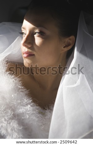 A series of wedding pictures.