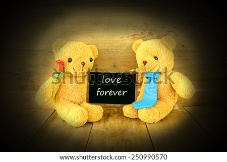 couples teddy bear  on wood background,vintage tone.