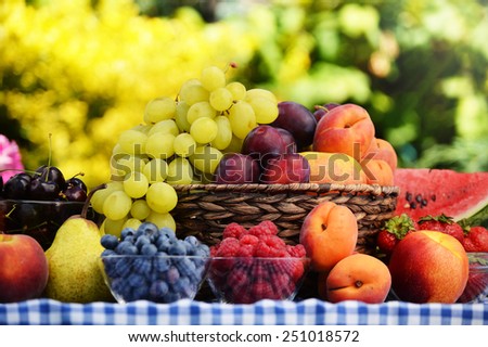 Basket of fresh organic fruits in the garden