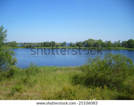 Lake with trees and herb on background blue sky