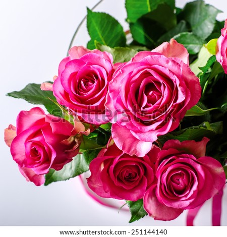 Pink roses square image white background