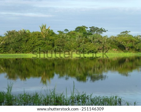 Amazon Landscape near Autazes, Brazil