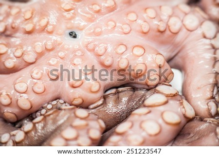 Colour picture of octopus on display in a store