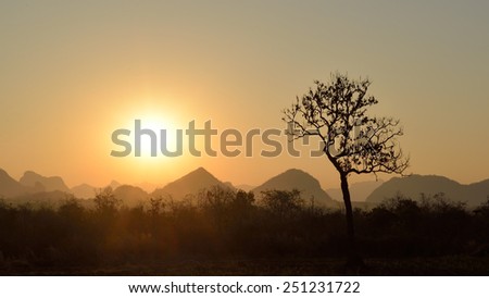 Tree silhouette on mountains background