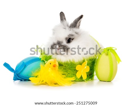 Easter pictures - rabbit  with colored eggs