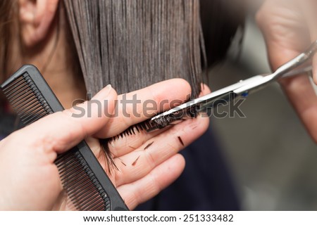 cutting hair in a beauty salon Royalty-Free Stock Photo #251333482