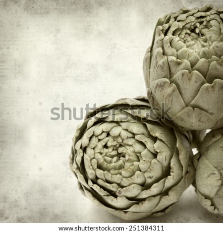 textured old paper background with artichoke