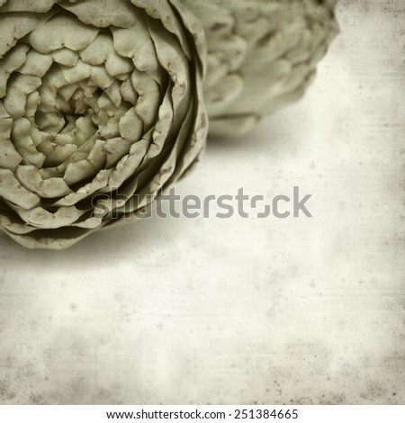 textured old paper background with artichoke