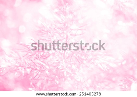 abstract circular bokeh background of nature forest on day light ,colored filter photo.
