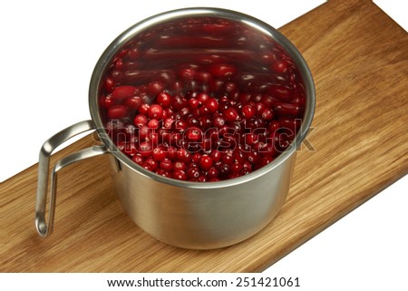 Cranberries in pot on white background                            