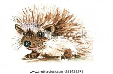 Watercolor sketch of a hedgehog
