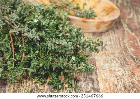 Thyme. Bunch of fresh Thyme on the rustic wooden table. A macro photograph with very shallow depth of field 