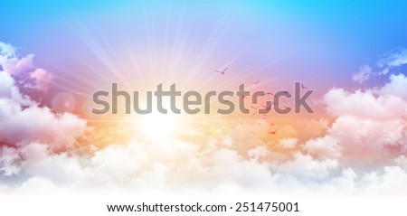 Panoramic sunrise. High resolution morning sky background. Rising sun and birds breaking through white clouds Royalty-Free Stock Photo #251475001