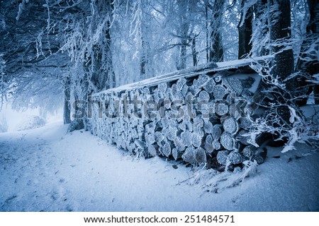 Pile of wood covered with fresh snow and rime