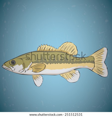 Spotted bass. Hand drawn vector illustration. Water background.