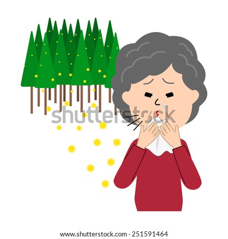 An elderly woman sneezing, allergy caused by cedar pollen, vector illustration