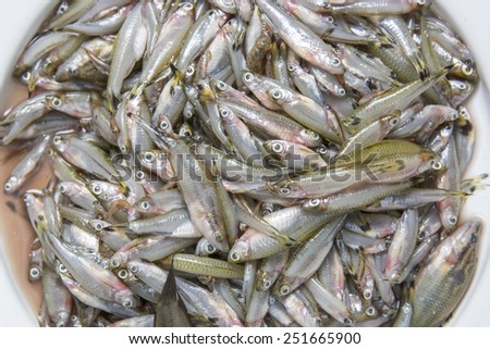 fish small local food of villager thailand