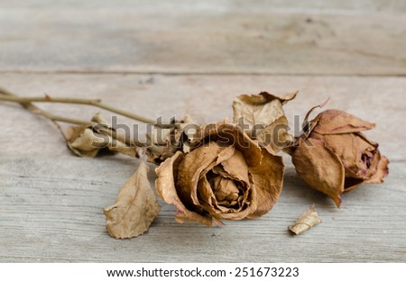 Dry roses on wood background with copy space