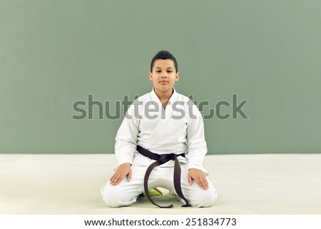 young and successful karate kid in karate positions
